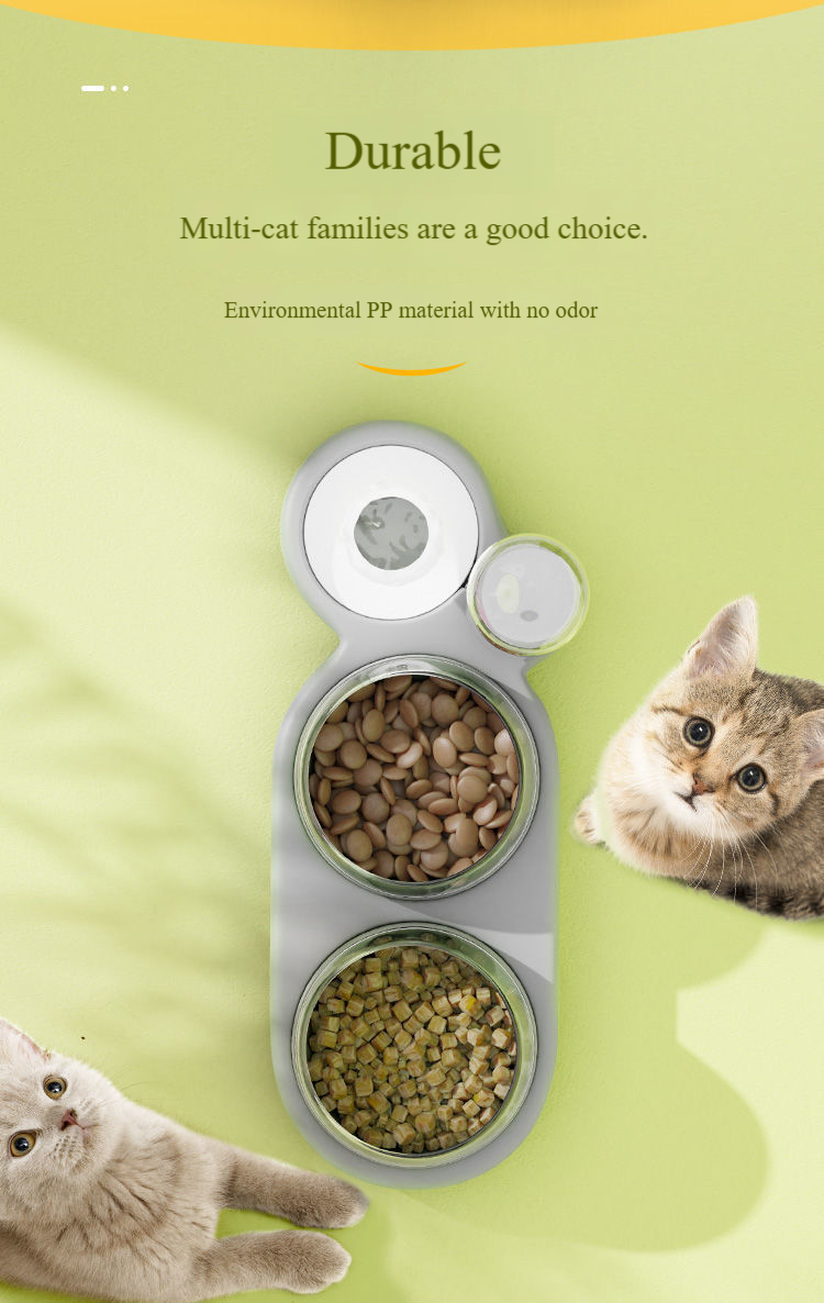 Pet Feeder Detail 1