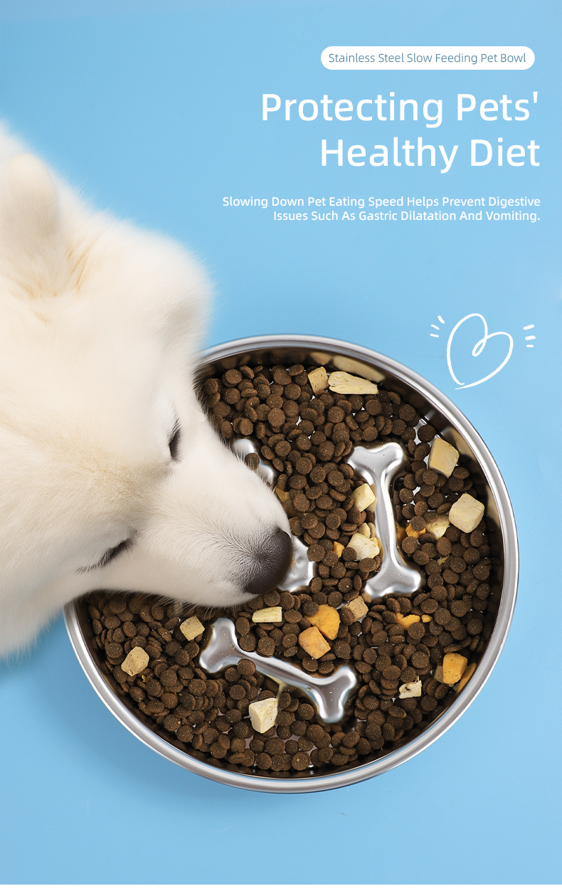 Pet Slow Feeder Bowl Detail 8