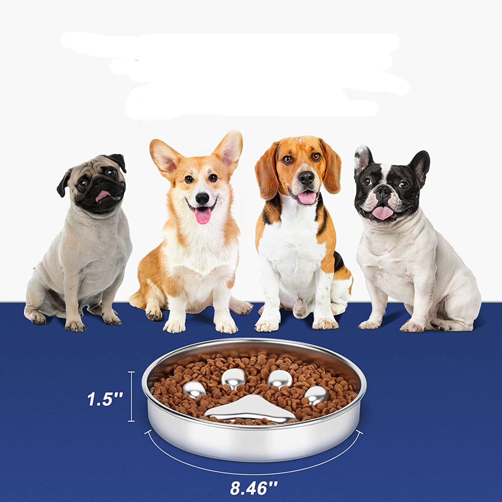 Small Dog Slow Feeder Packaging Box