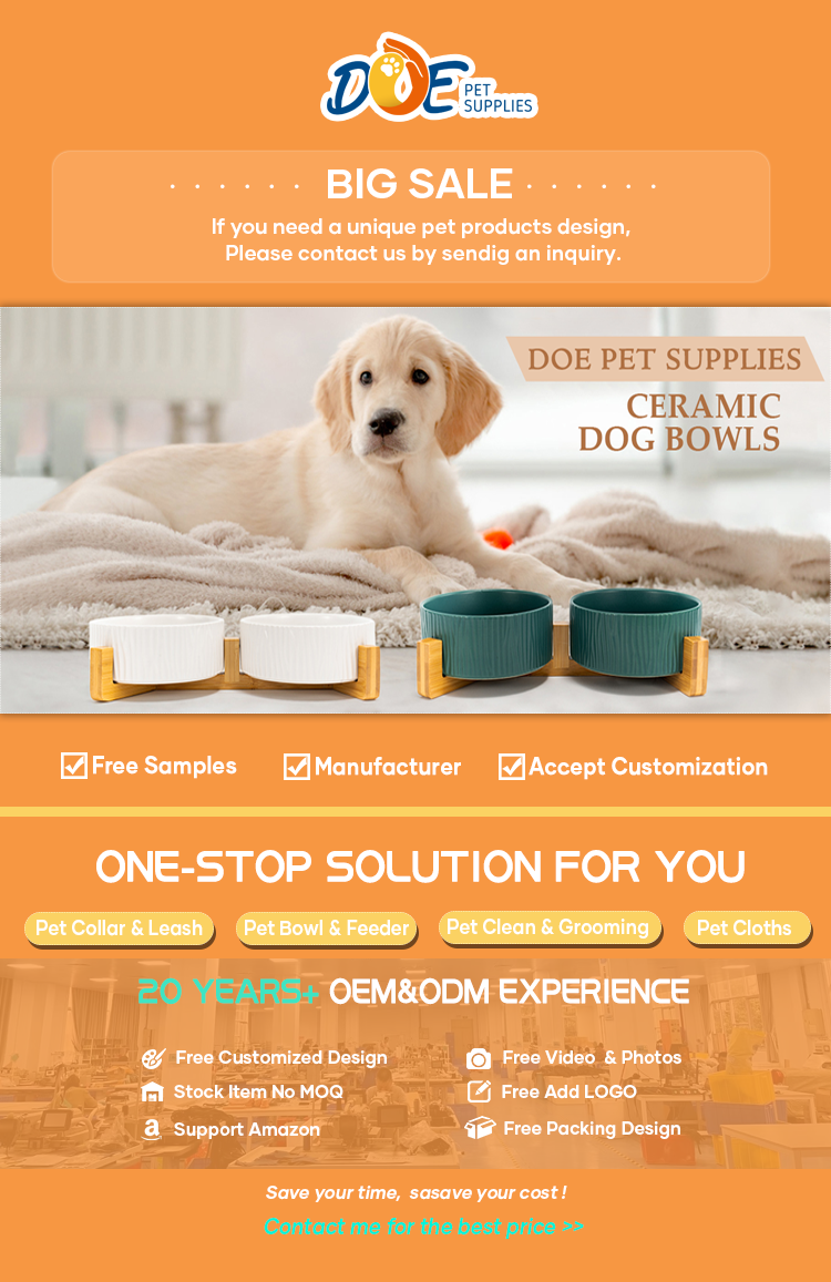Pet Ceramic Elevated Bowl