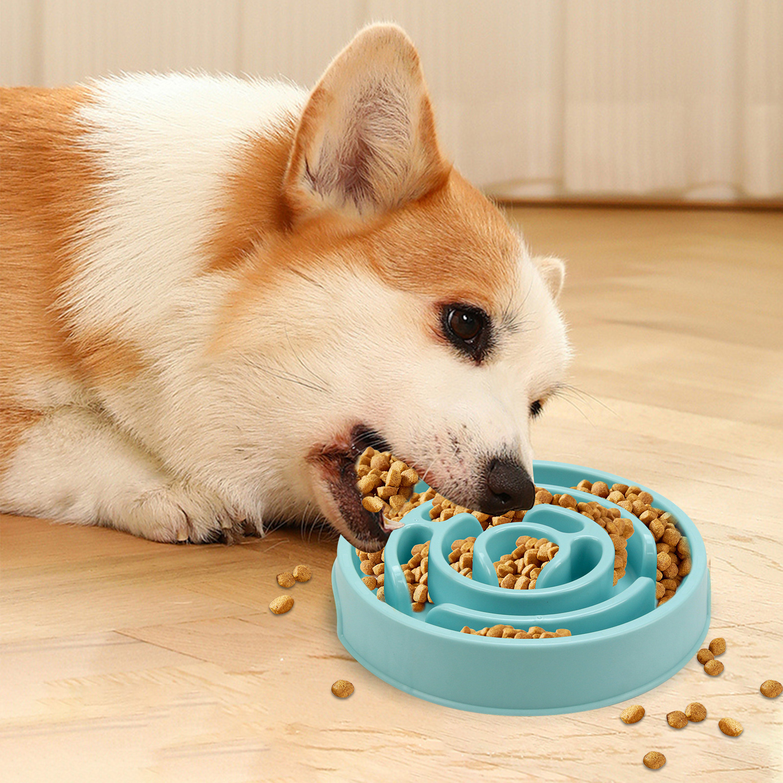 Dog Slow Food Bowl details 5