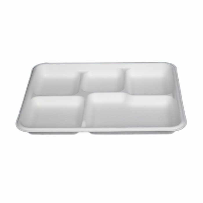 Disposable Plastic Biodegradable Compostable BPI Certified Customizable Size Shape Multi-Compartment Rectangular Camping Plates