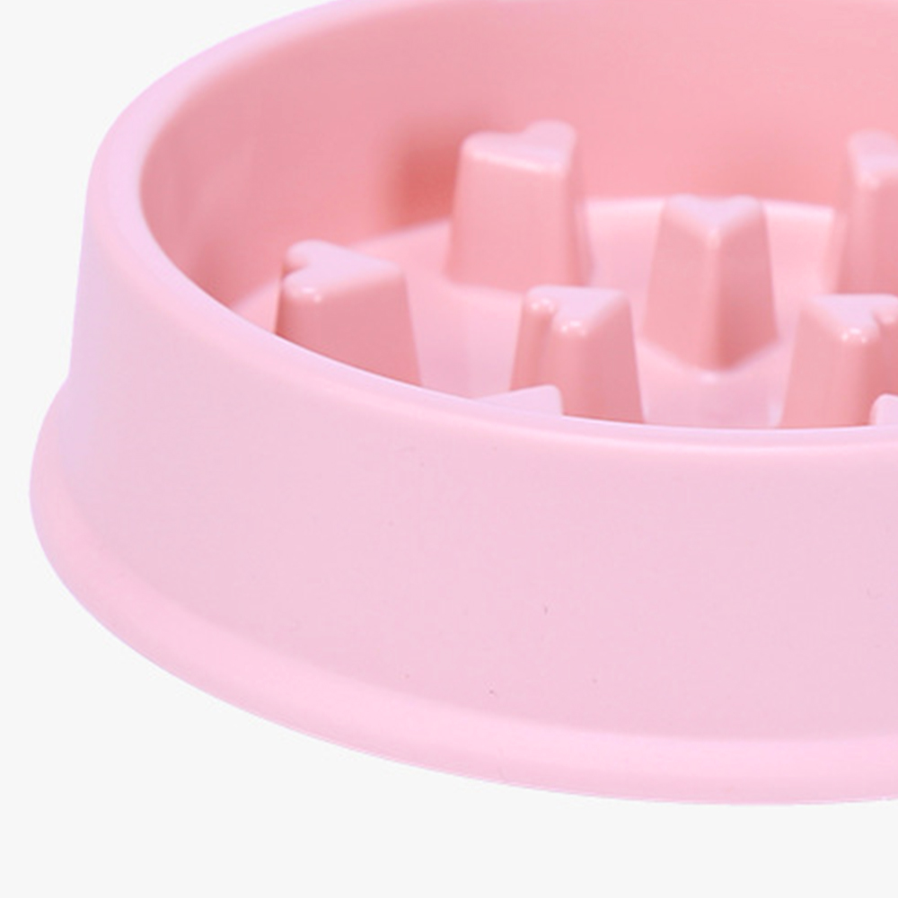 Pet Product Showcase 4