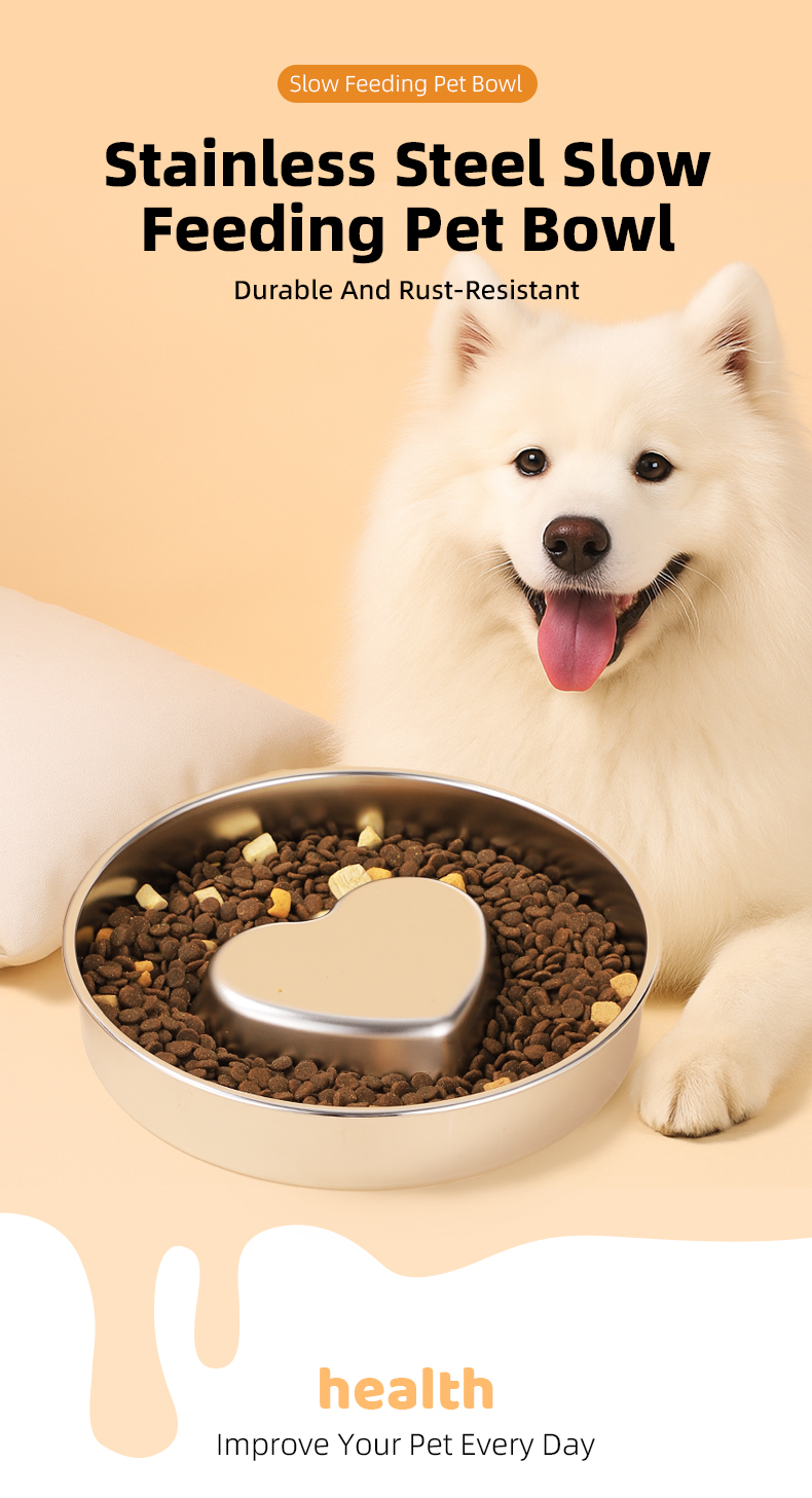 Dog Bowl Gallery 1