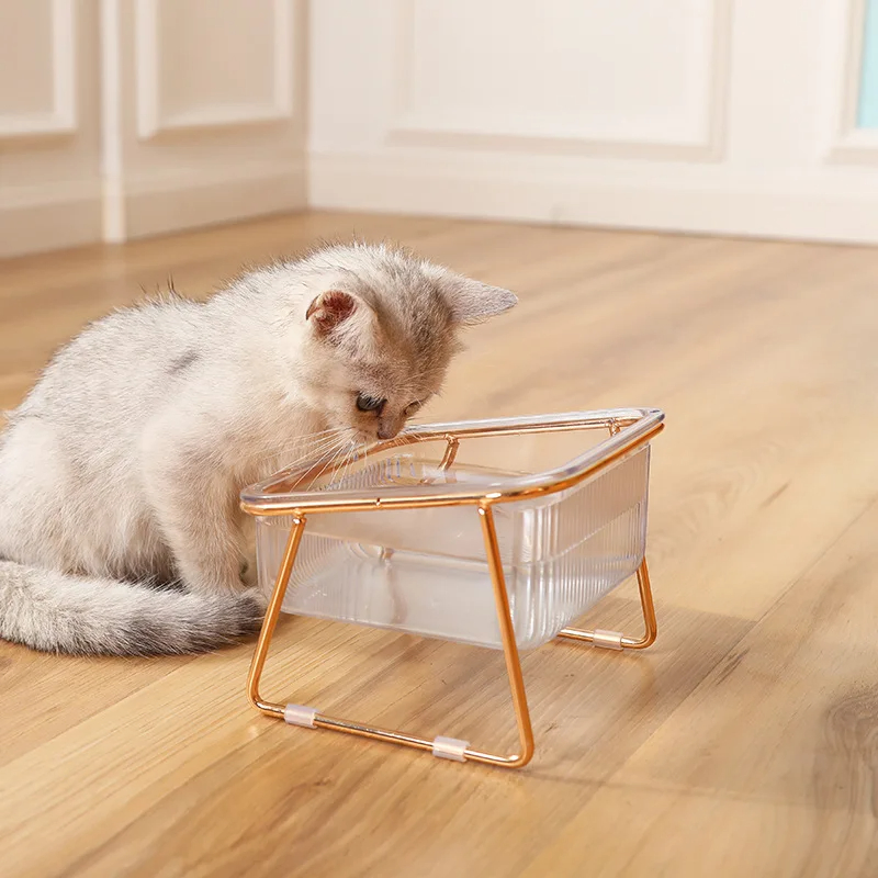 Removable 15 Tilted Elevated Pet Cat Dog Food and Water Bowls Set with Iron Stand