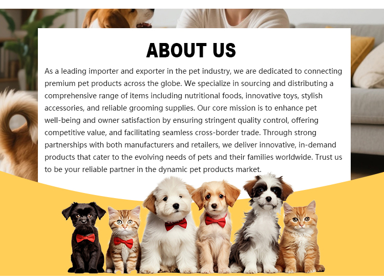 Pet feeder feature 4