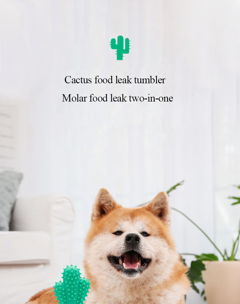 Pet Product Showcase 1