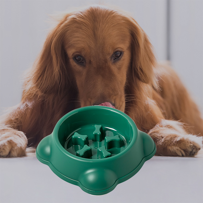 Hot Sale Wholesale Custom Personalized Dog Bowl Slow Eating Slow Feeder Dog Bowl Dog Pet Bowl