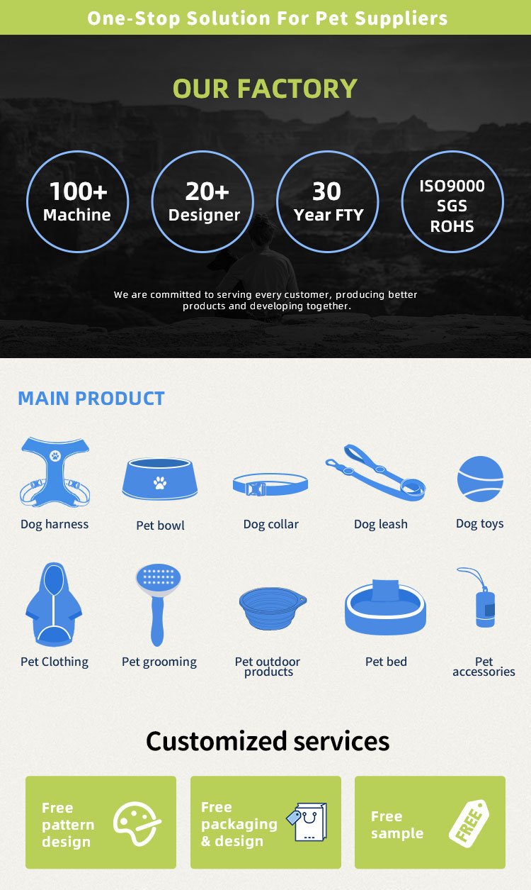 Designable Soft Elastic Eco-Friendly Silicone Slow Feeder Dog & Cat Bowl with Suction Cups Training Licking Dish