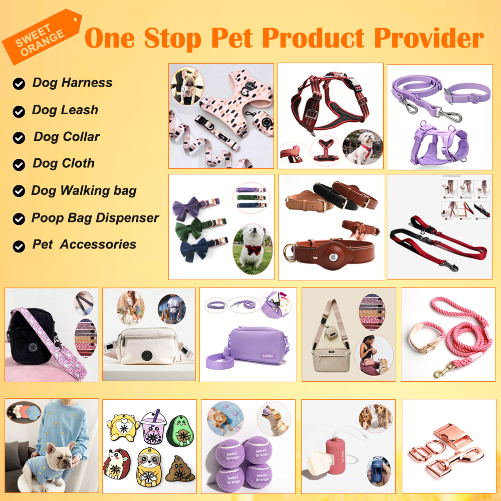 Silicone Dog Slow Feeder