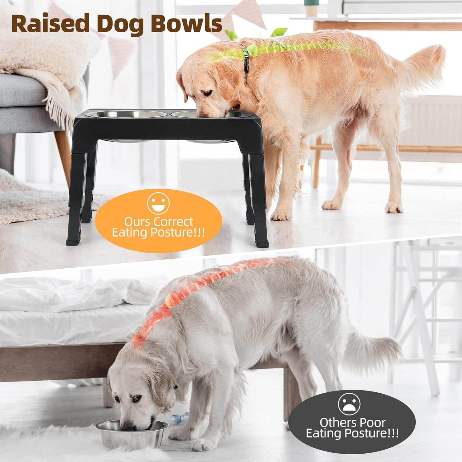 Pet Food Bowl View 5