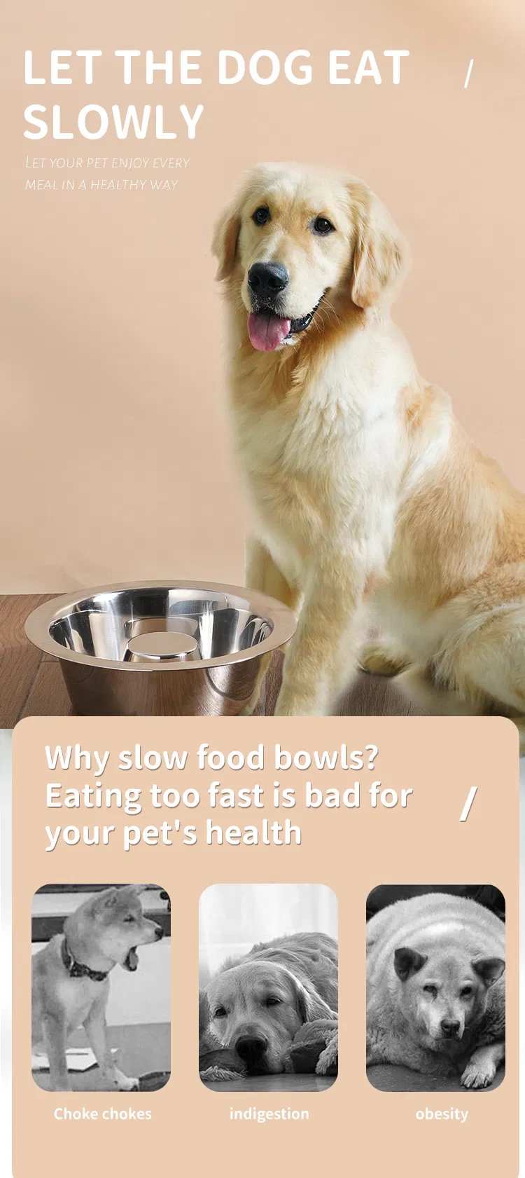 Slow Feeding Bowl Structure