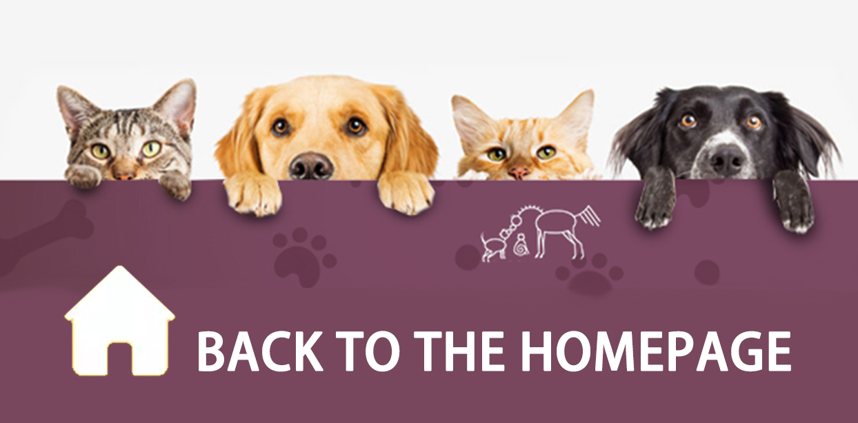Footer Banner