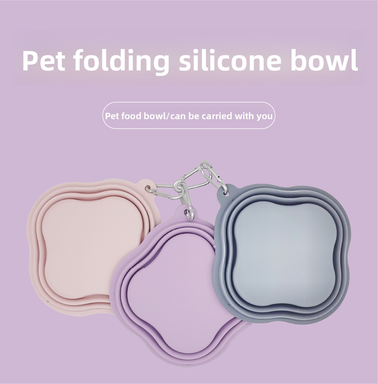 Product Details 2