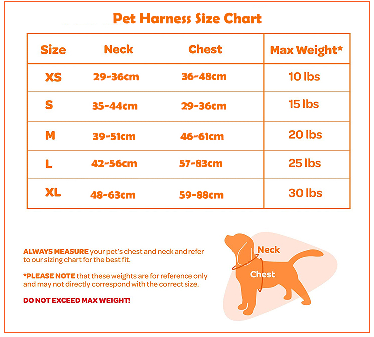 Size Guide 2