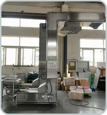 Conveyor structural comparison view 2