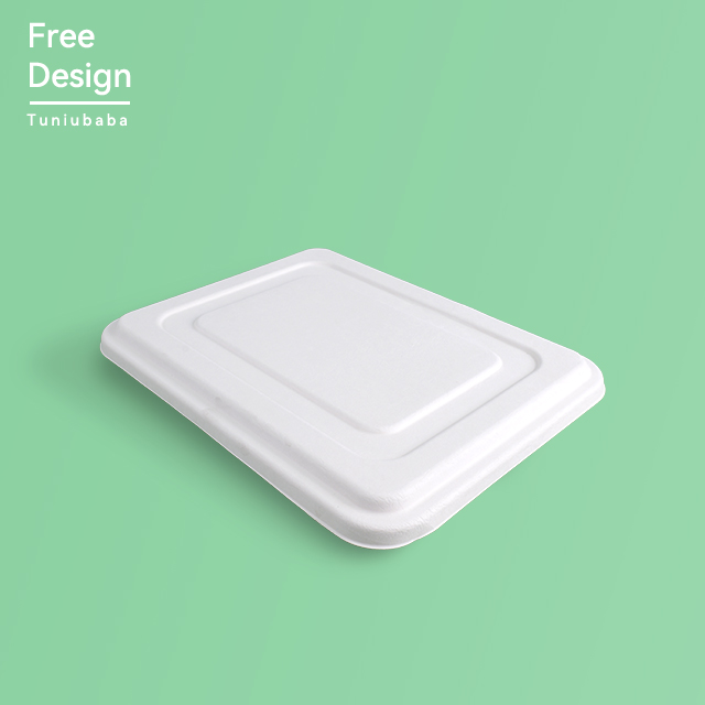 Multi-Compartment Food Tray Biodegradable Plate 6 Compartment Disposable Plate