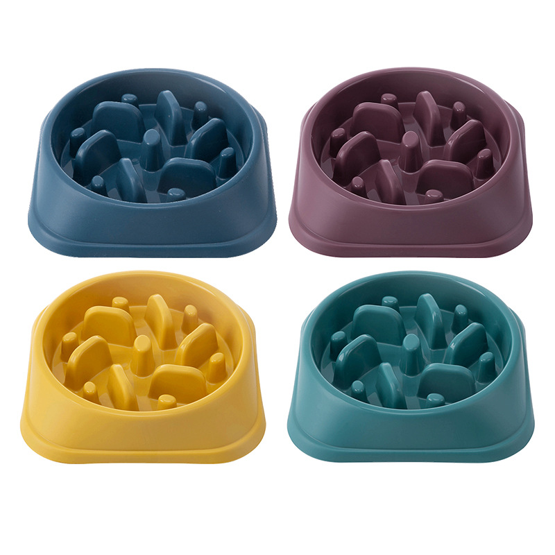 Pet Product Showcase 4