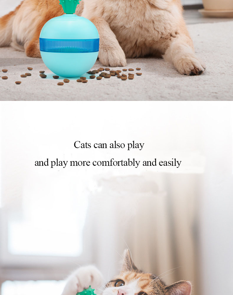 Pet Product Showcase 2