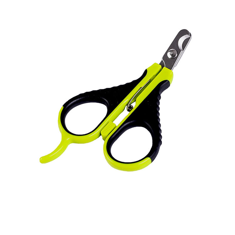Related Product 7