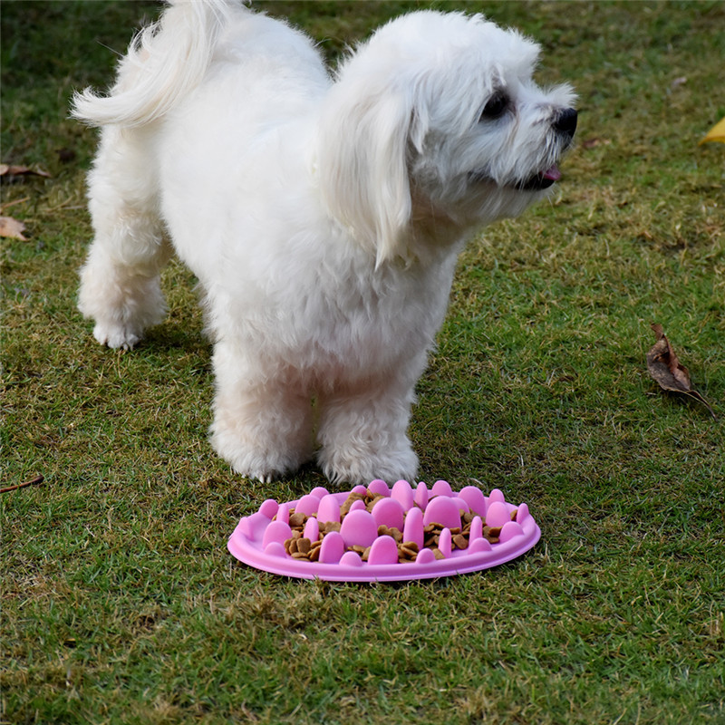 Food Grade Silicone Dog Slow Feeder Bowl, Non-Slip Anti-Gulping Puzzle Feeder for Small Dogs and Puppies, Custom Logo