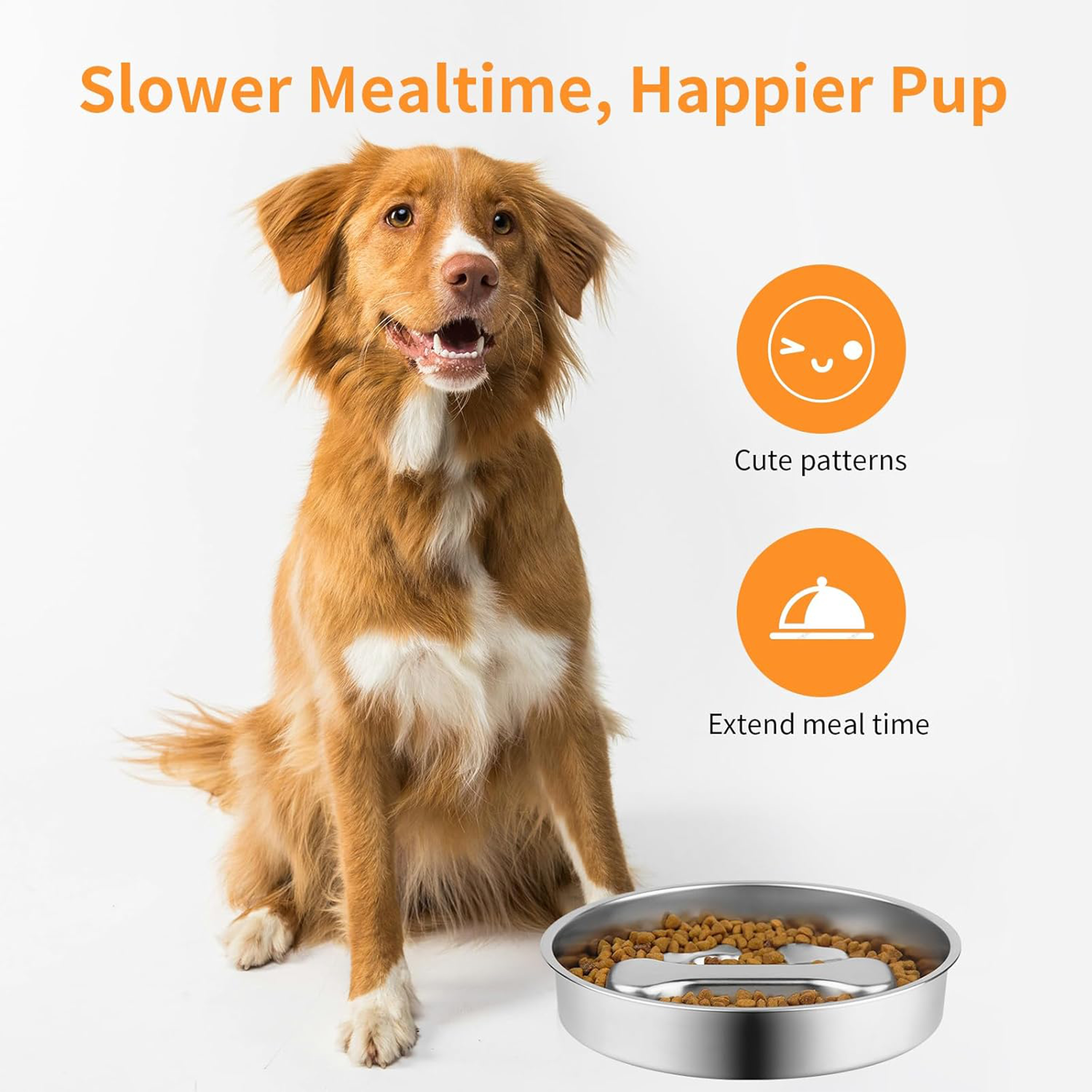 Rounded Waterproof Indoor Premium Dog Slow Feeder Pet Water Food Bowls Stainless Steel