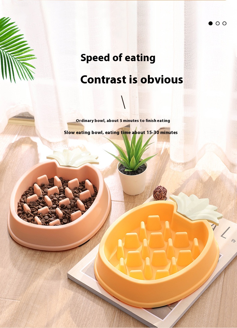 Pet Product Feature Show 2