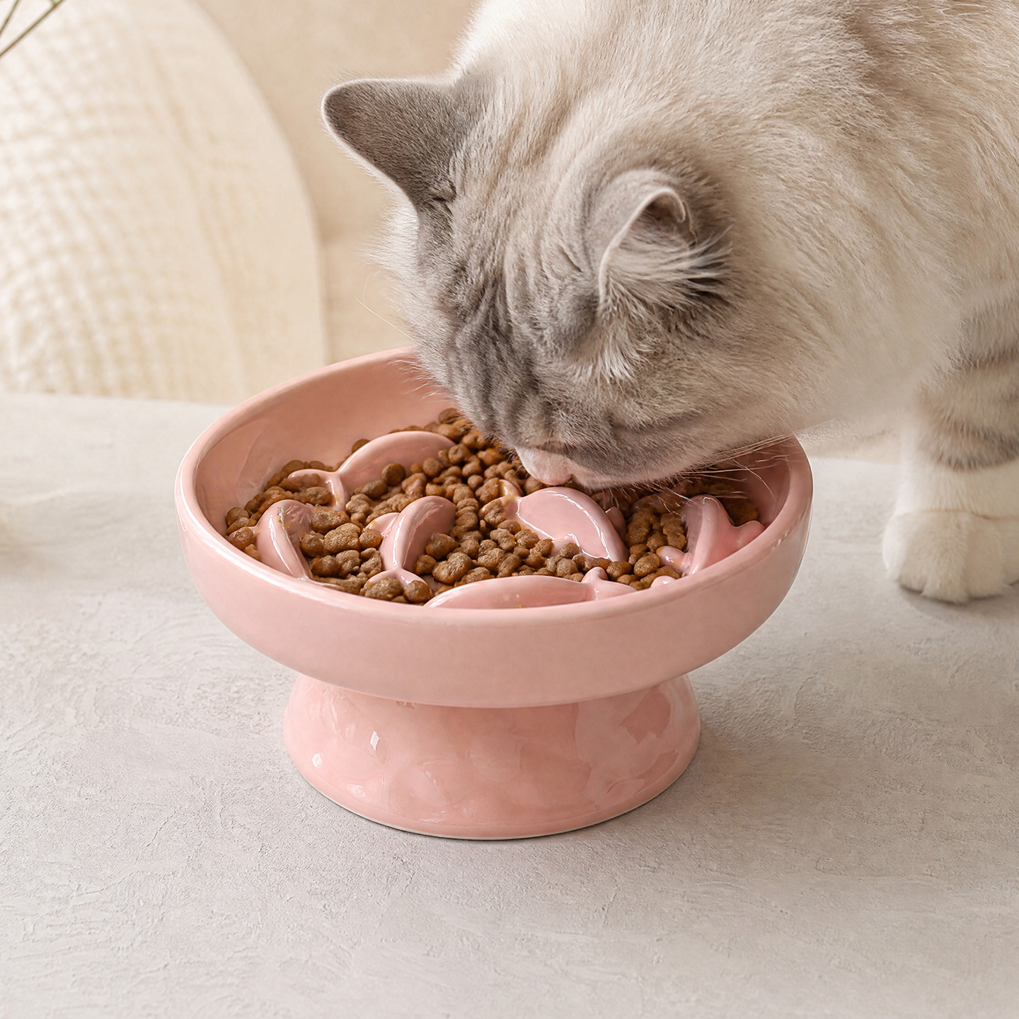 Elevated Ceramic Slow Feeder Bowl for Cats &amp; Dogs Anti-Choke Neck Protection Pet Feeding Bowl
