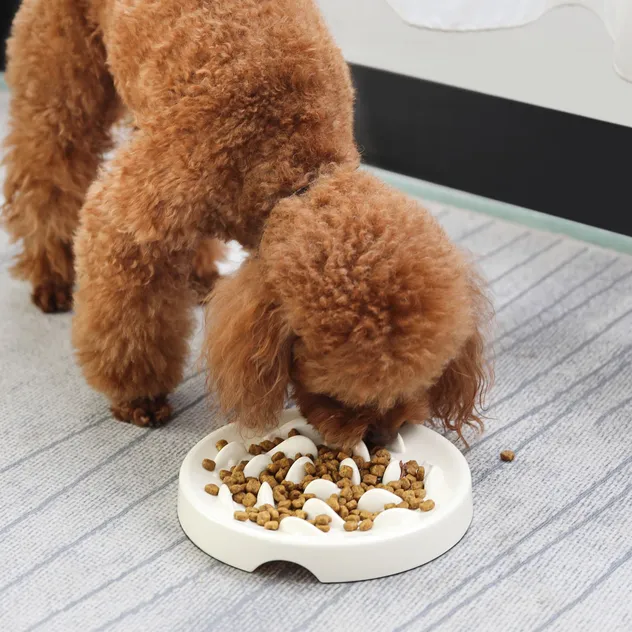 Anti-Choking Ceramic Slow Eating Pet Bowl with Cute Whale Design