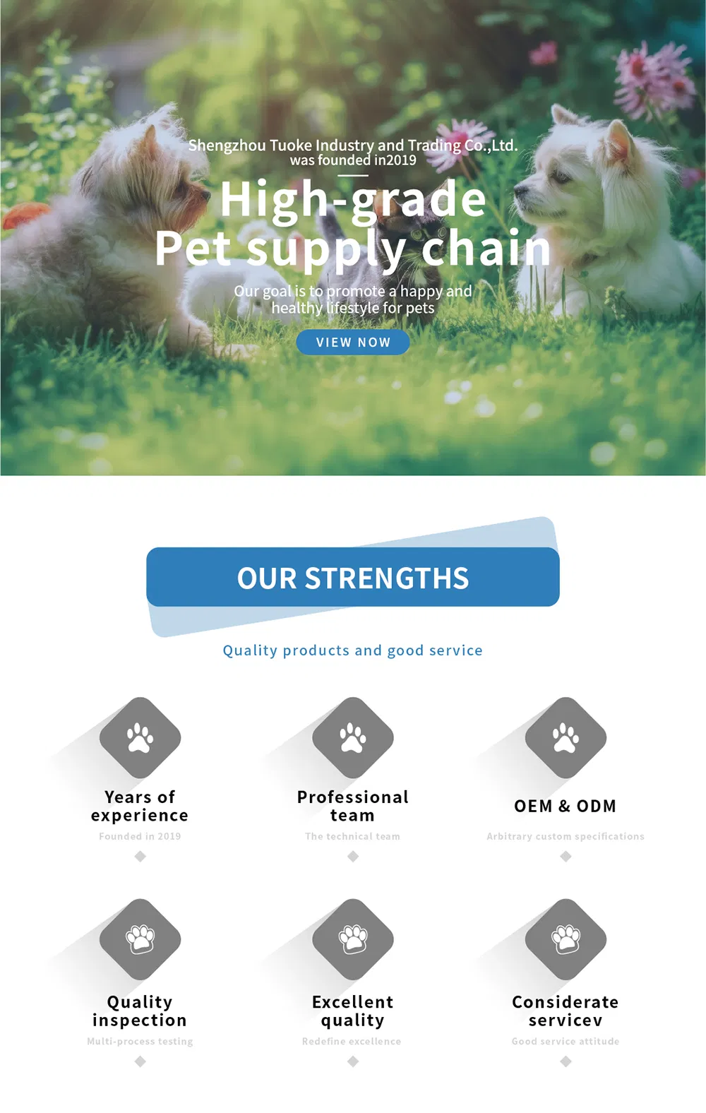 Various Color Anti-Slip Puzzle Interactive Slow Feeder for Small and Medium Dogs