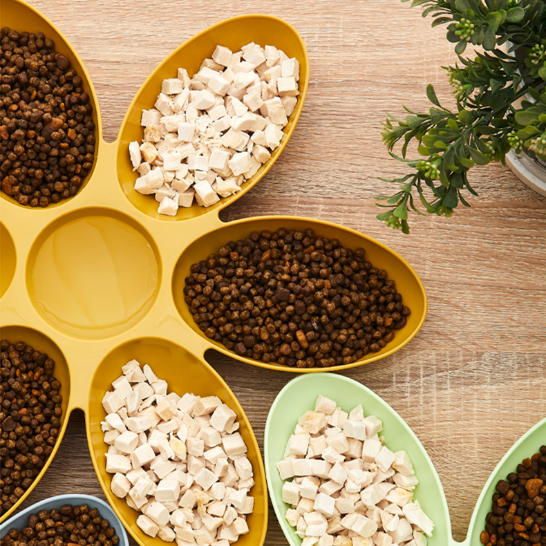 Flower Design Eco-Friendly Portable Multi-Bowl Dog Food Feeder 6-Section Plastic Tray for Multiple Pets OEM Supported
