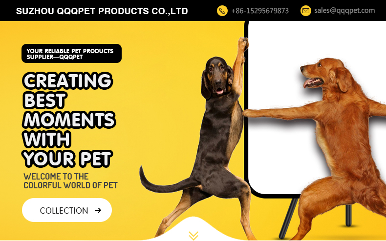 Company Image