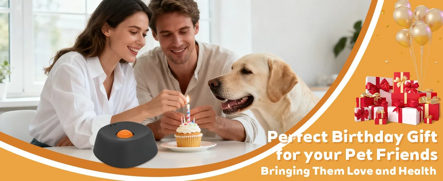 Anti-Choking Slow Feeder Dog Bowl Non-Slip 34 Cup - Lick Toy for Liquid Treats Bone Broth Yogurt