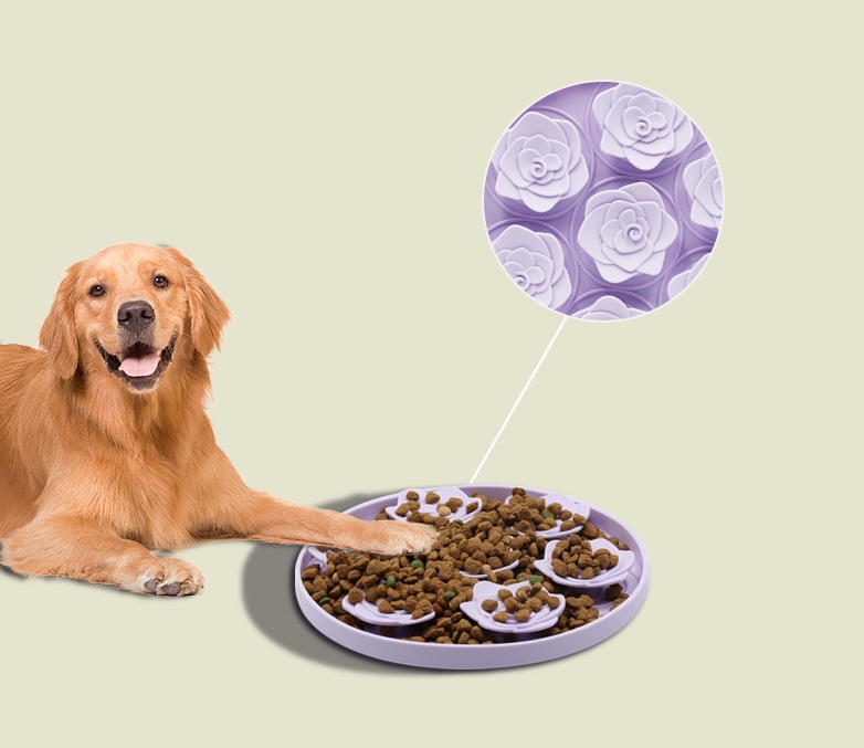 Pet bowl application