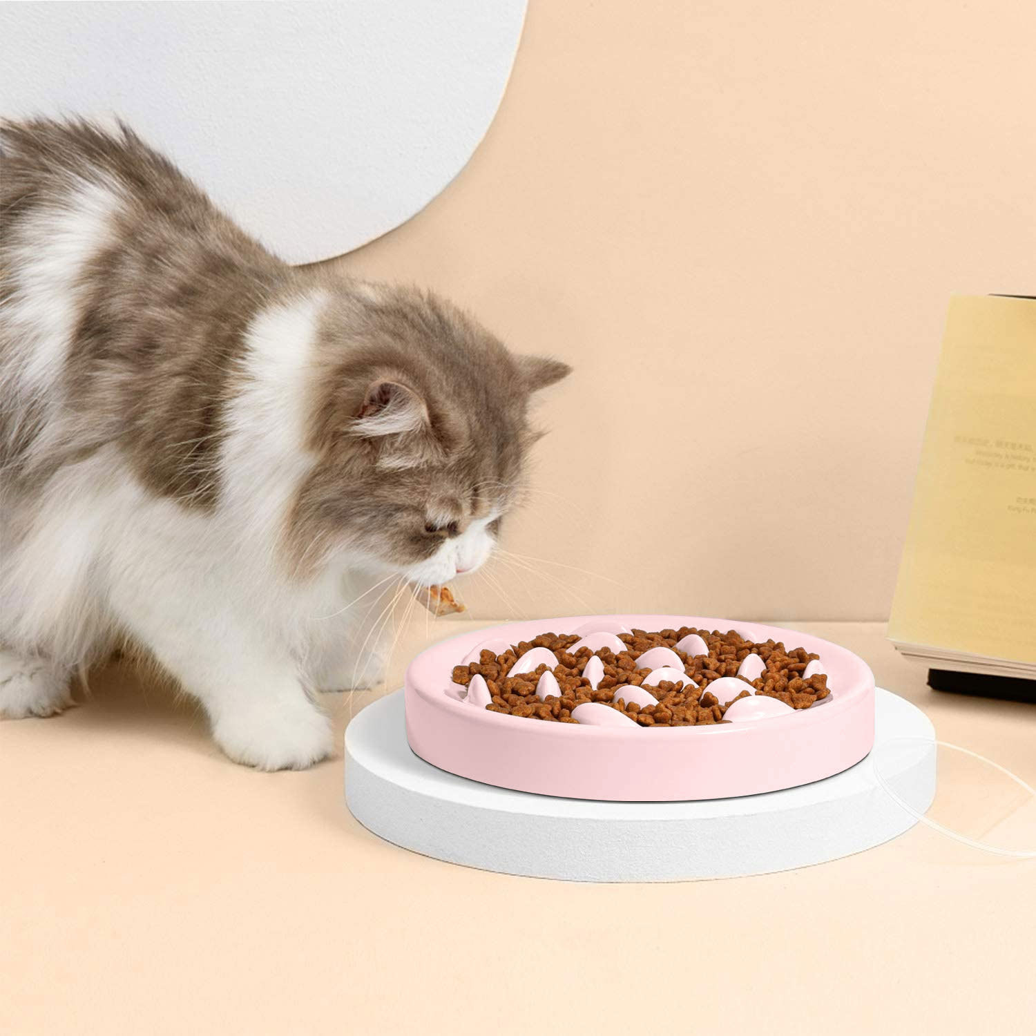 For Bestseller Slow-Feeding Round Dog Cat Pet Feeder Prevent Choking Slow-Eating Dish for Cats and Dogs