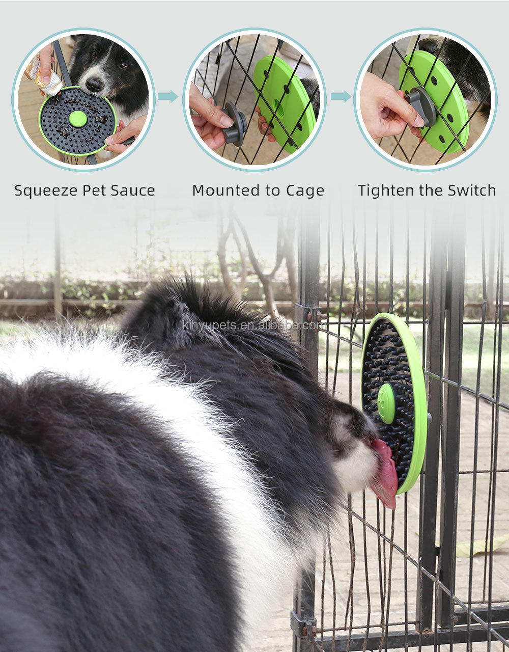 Pet Bowl Details 8