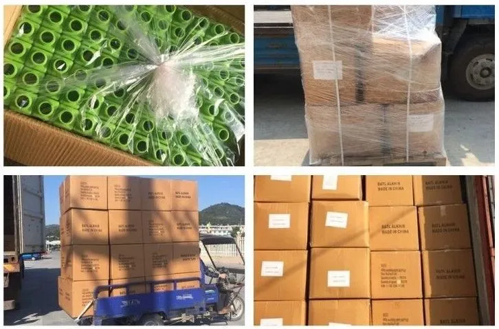 Shipping Logistics Process