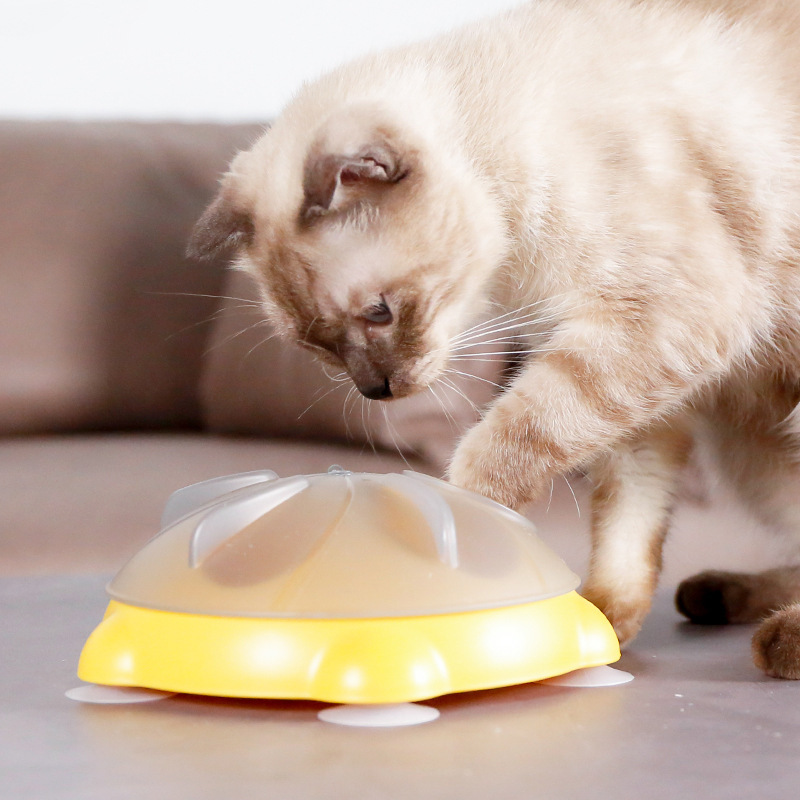 Interactive Slow Food Bowl with Anti-Choking Suction Cup Cat Carousel Snack Stash Maze Educational Pet Feeder with Movement Toys