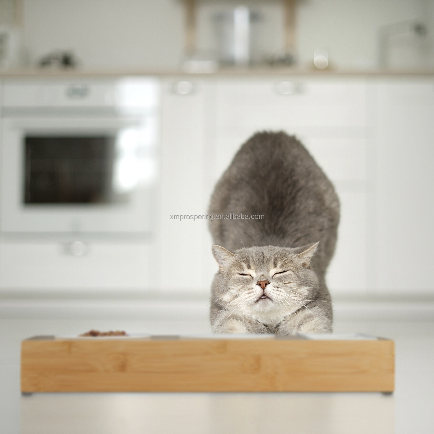 Wholesale Stainless Steel Dog &amp; Cat Elevated Slow Feeder Bowls with Bamboo Stand 2-in-1 Pet Food Holder
