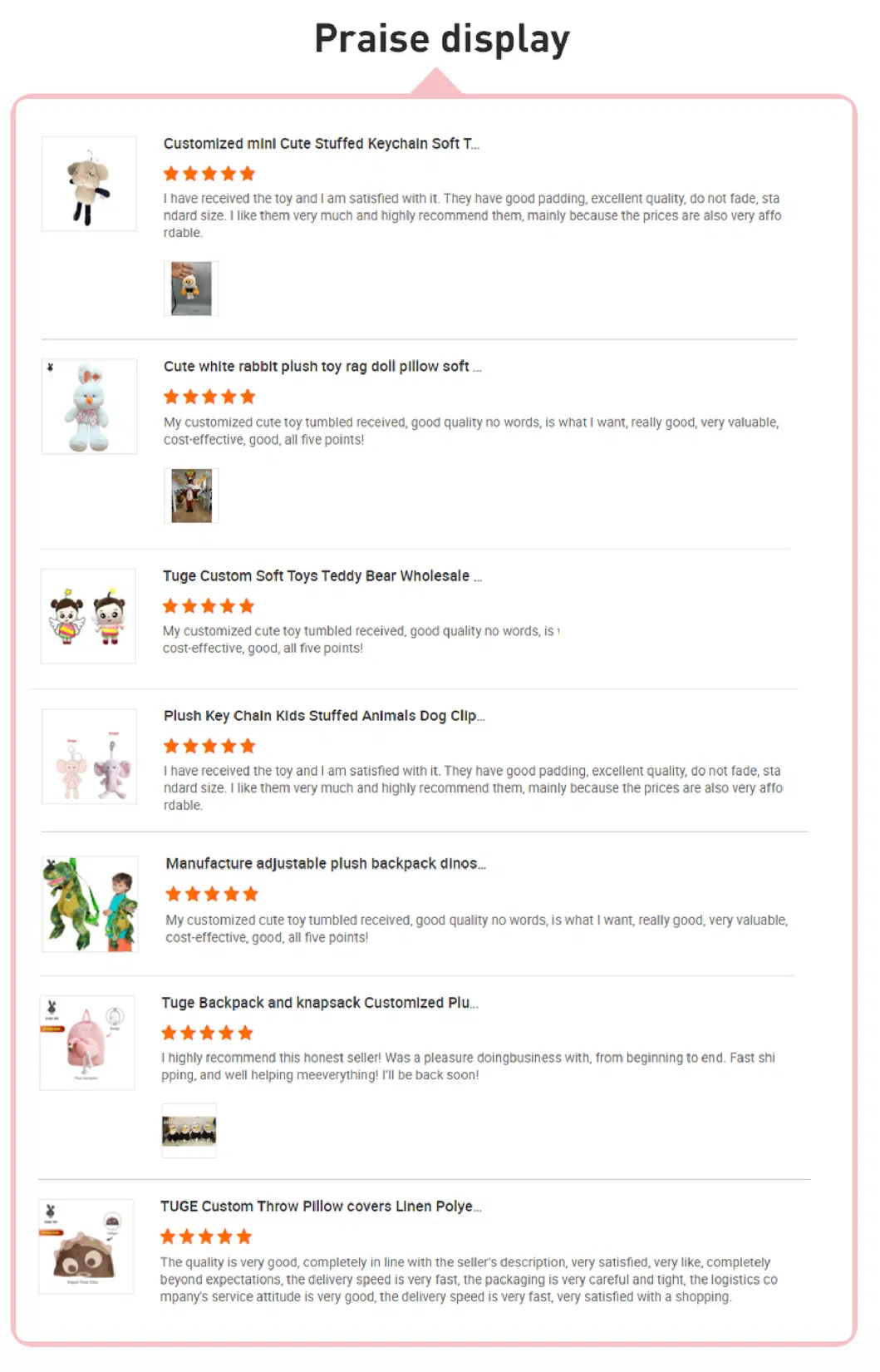 Customer Review Detail