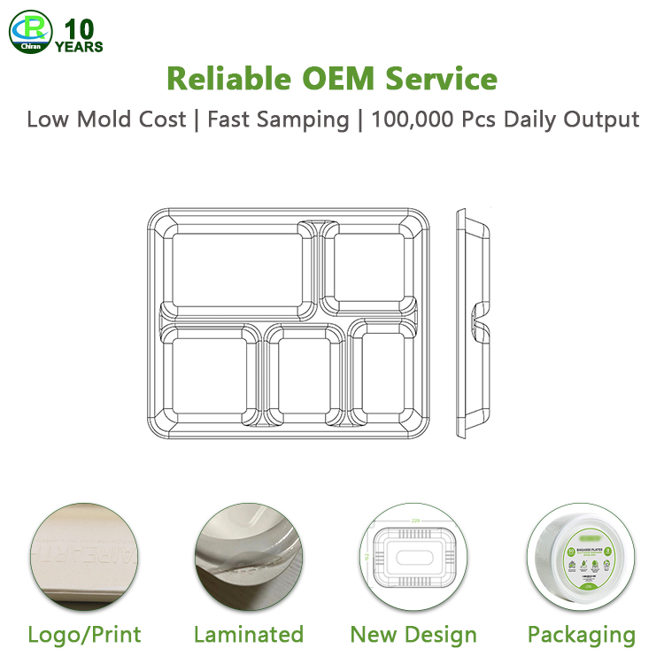 Custom Service Biodegradable Compostable Sugarcane Bagasse Pulp 5 Compartment Meal Trays With Lid