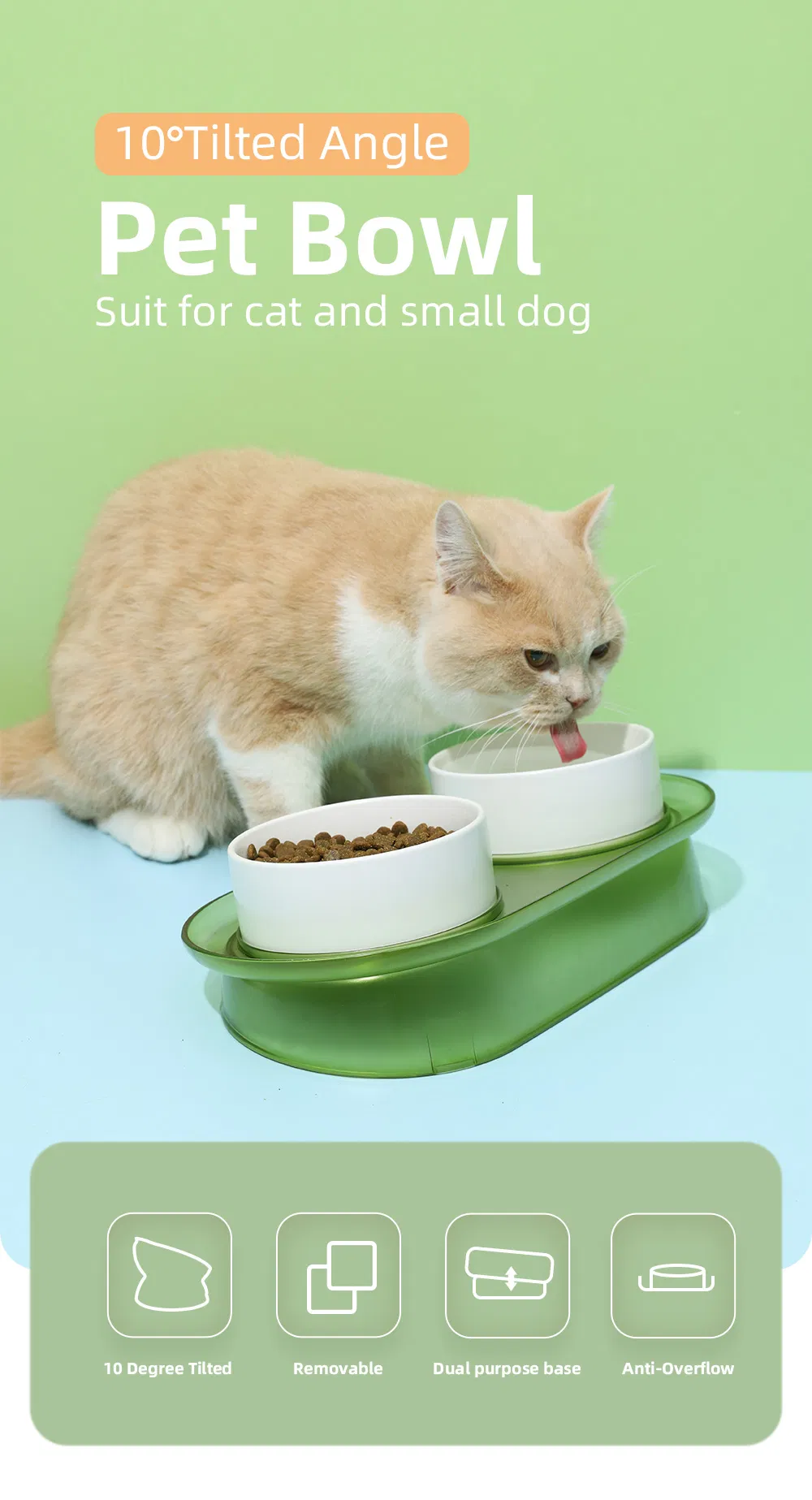 10 Degree Tilted Angle Pet Bowl Anti Overflow Dog Cat Bowl for Small Cats Dogs