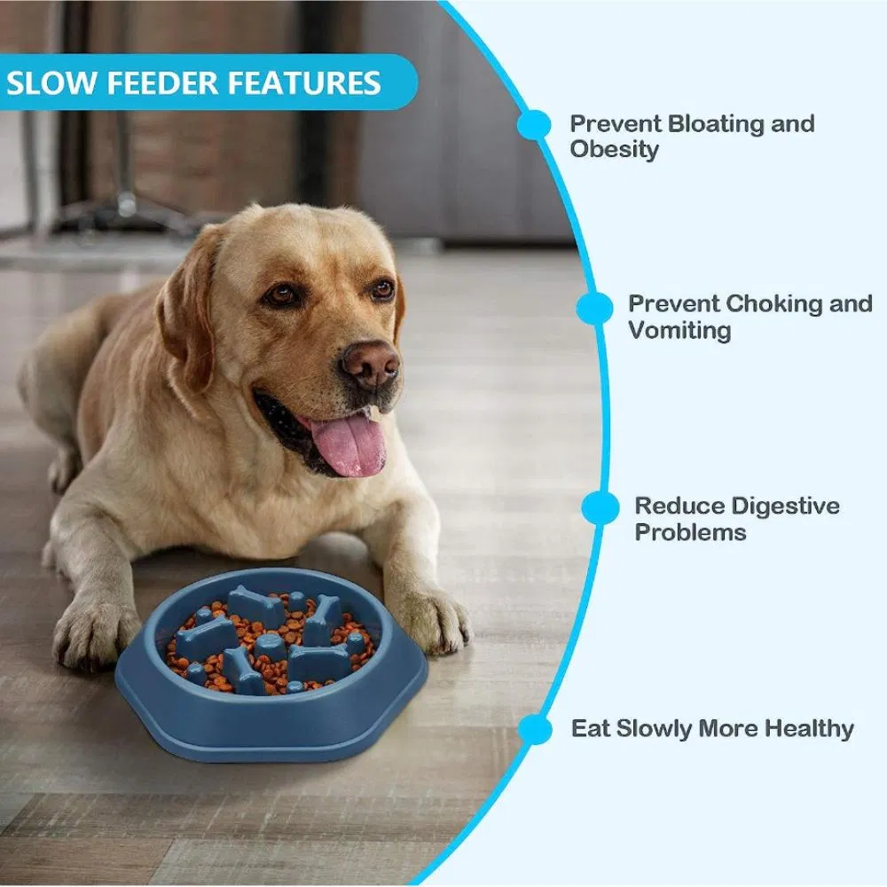 Various Color Anti-Slip Puzzle Interactive Slow Feeder for Small and Medium Dogs