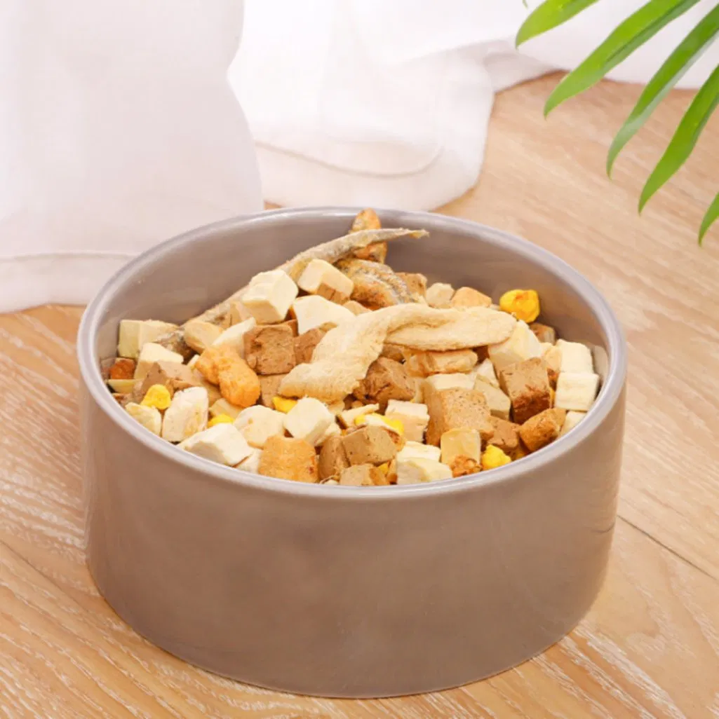 Manufacturer Wholesale 15° Tilted Food Feeding Dishes Cat Bowl Elevated Dog Food Bowl Ceramic Pet Bowl with Bamboo Stand