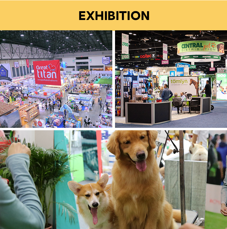 Product Exhibition