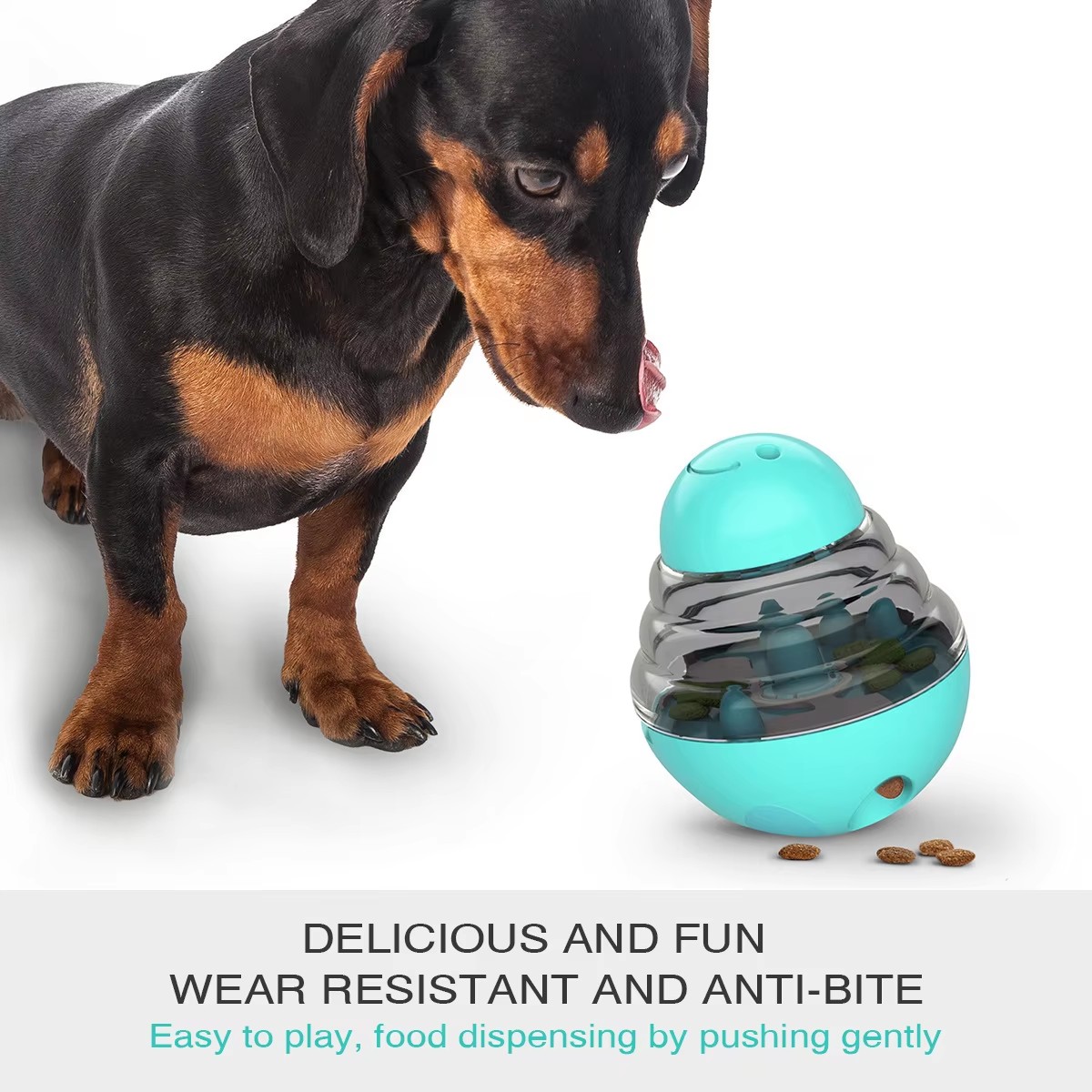 Dog Puzzle Feeder Details 3