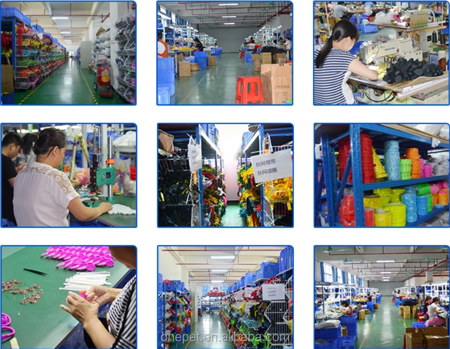 Company Profile