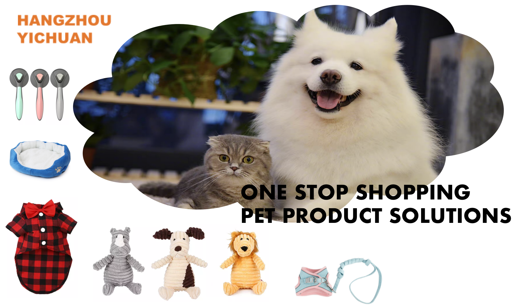 Product Showcase