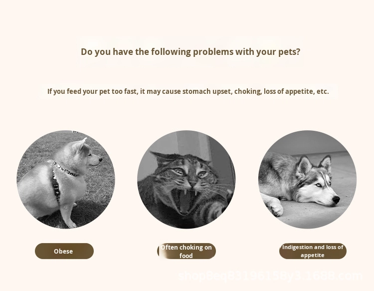 Pet food slow bowl design 4