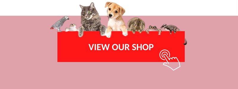 Footer Banner